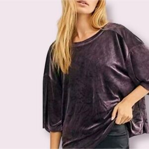 Free People We The Free Valerie Velour Top